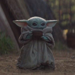 Meet your Posher, Ben